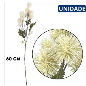 Haste Erigium Creme Desidratada 60Cm Flor Natural Preservada Decorativa Arranjo