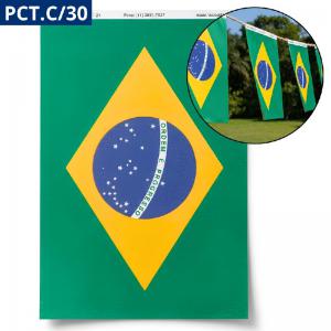 Bandeira Brasil Papel 14X21Cm Kit 30 Unidades Festa Decoração Eventos