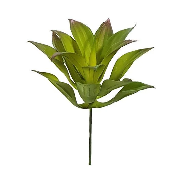Produto Paraná Distribuidora